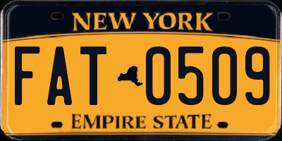 NY license plate FAT0509
