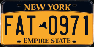 NY license plate FAT0971