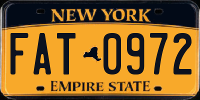 NY license plate FAT0972