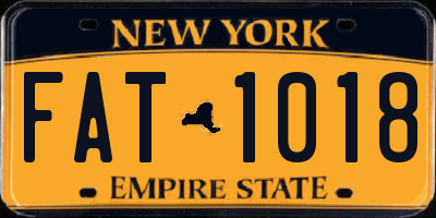 NY license plate FAT1018