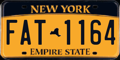 NY license plate FAT1164