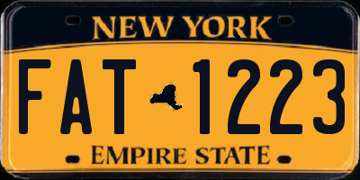 NY license plate FAT1223