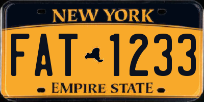 NY license plate FAT1233
