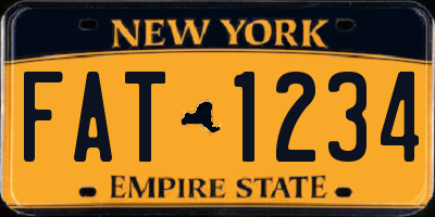 NY license plate FAT1234