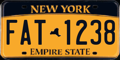 NY license plate FAT1238