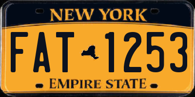 NY license plate FAT1253