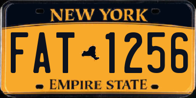 NY license plate FAT1256