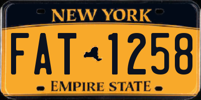 NY license plate FAT1258