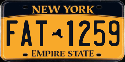 NY license plate FAT1259