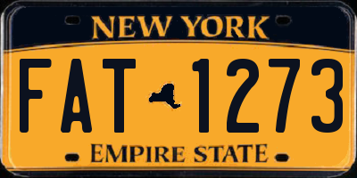 NY license plate FAT1273