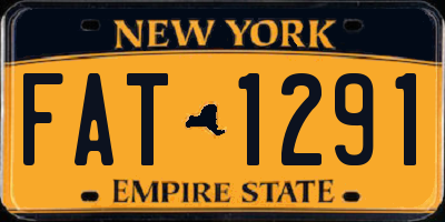 NY license plate FAT1291