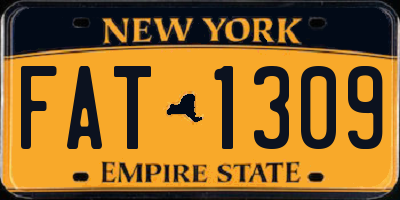 NY license plate FAT1309