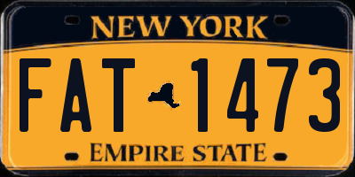 NY license plate FAT1473