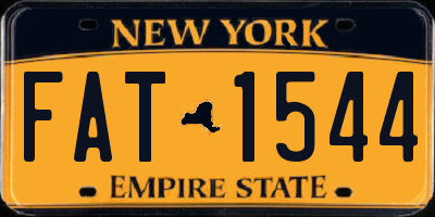 NY license plate FAT1544