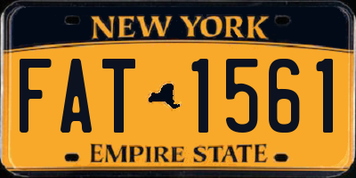 NY license plate FAT1561
