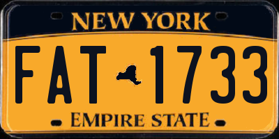 NY license plate FAT1733