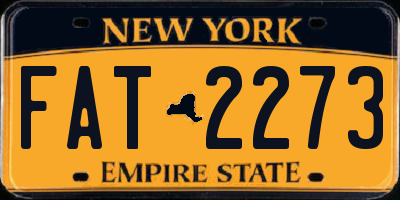 NY license plate FAT2273