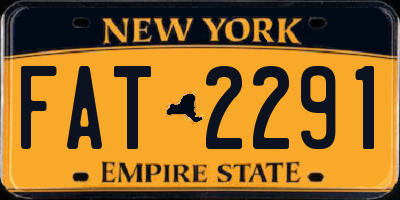 NY license plate FAT2291