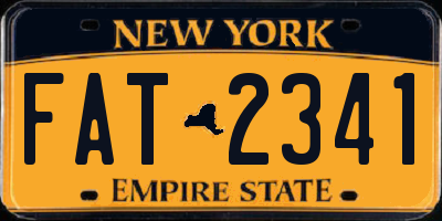 NY license plate FAT2341