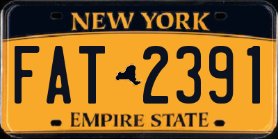 NY license plate FAT2391