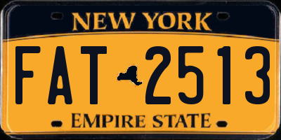 NY license plate FAT2513