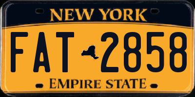 NY license plate FAT2858