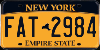 NY license plate FAT2984
