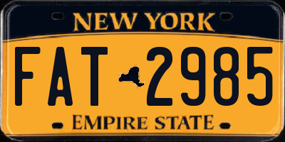 NY license plate FAT2985