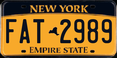 NY license plate FAT2989