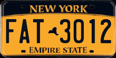 NY license plate FAT3012