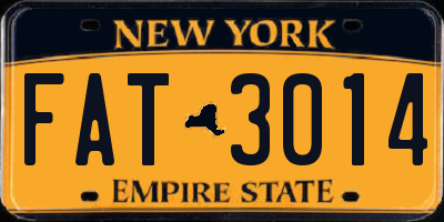 NY license plate FAT3014