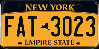 NY license plate FAT3023