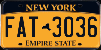 NY license plate FAT3036