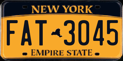 NY license plate FAT3045
