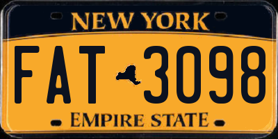 NY license plate FAT3098