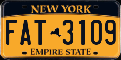 NY license plate FAT3109