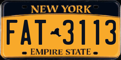 NY license plate FAT3113