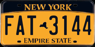 NY license plate FAT3144