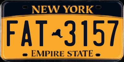NY license plate FAT3157