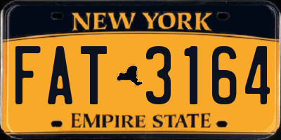 NY license plate FAT3164