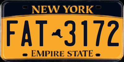 NY license plate FAT3172