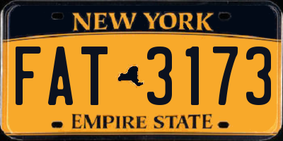 NY license plate FAT3173