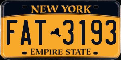 NY license plate FAT3193