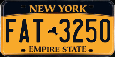NY license plate FAT3250