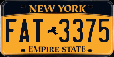 NY license plate FAT3375