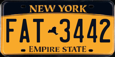 NY license plate FAT3442