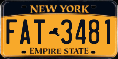 NY license plate FAT3481