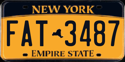 NY license plate FAT3487