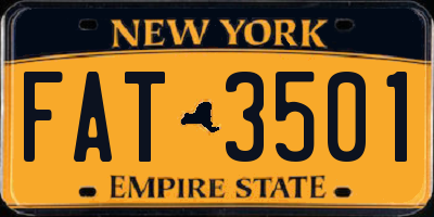 NY license plate FAT3501