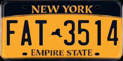 NY license plate FAT3514